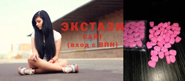 тгк Дмитриев