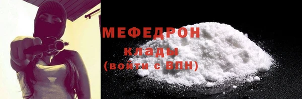 тгк Дмитриев