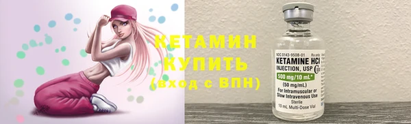 тгк Дмитриев