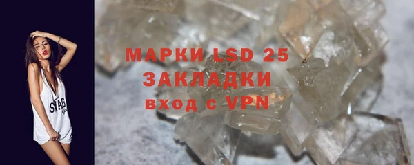 прущие грибы Лиски