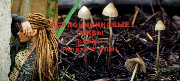 МДМА Дмитров
