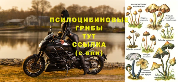 apvp Лихославль
