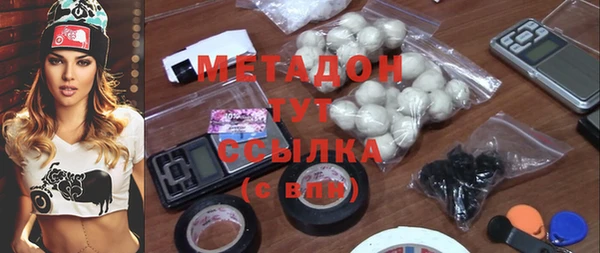 тгк Дмитриев