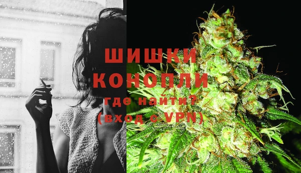 тгк Дмитриев